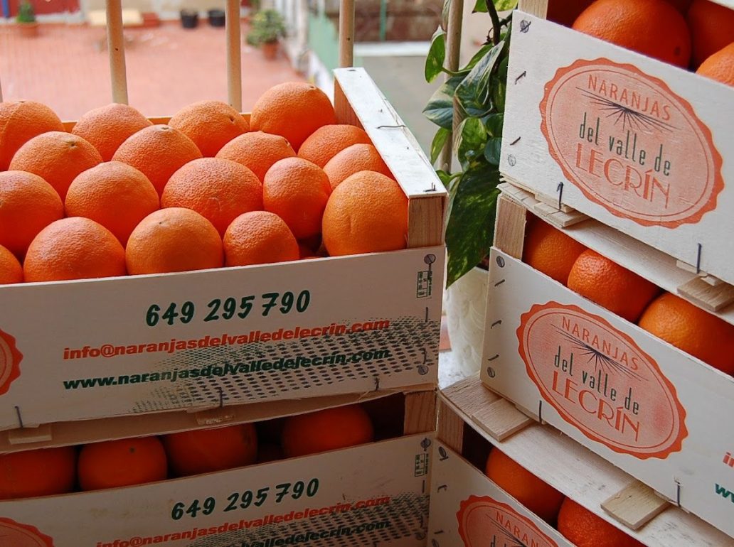 IMG_2631 - maria eeeee